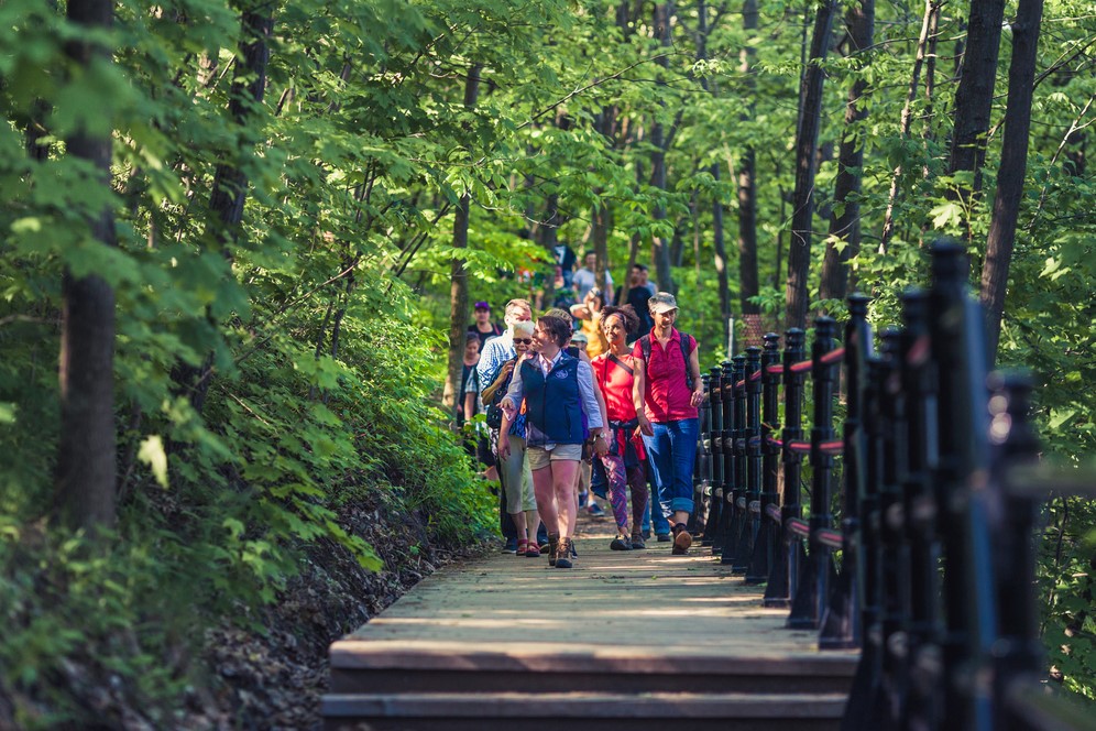 Group of people walking through a forest