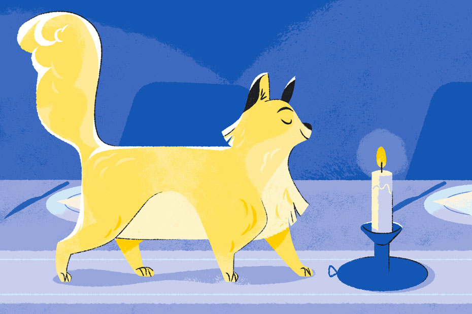 Cartoon Illustration of Cat walking by candle