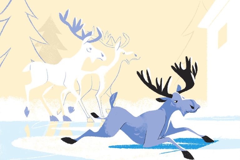 Rester actif durant la saison hivernale : Un guide pour les adeptes de la course et de la marche rapide cet hiver