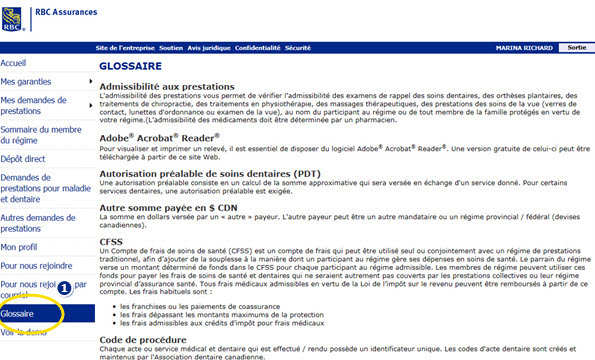 Exemple de capture d'écran de la page du glossaire marque 1.